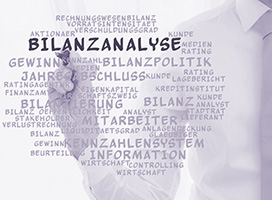 Bilanzanalyse